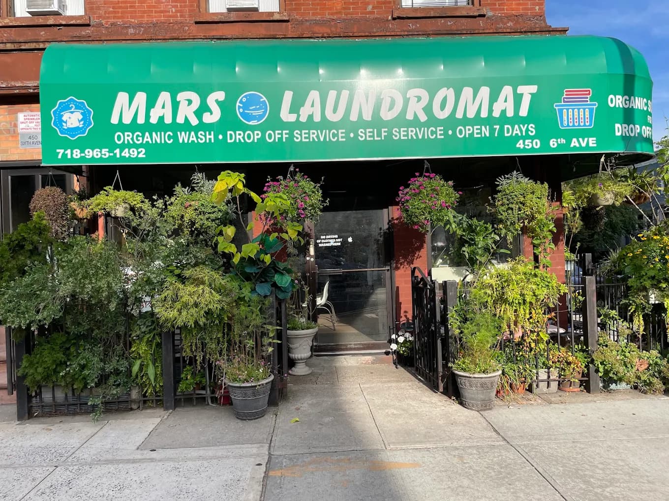 The garden maintained outside Mars Laundromat, tended by a family friend